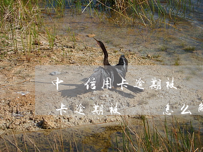 中國信用卡逾期被凍結怎么解凍-中國信用卡逾期被凍結怎么解凍賬戶