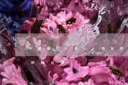 中國優(yōu)秀女律師(中國最厲害的女律師是誰)