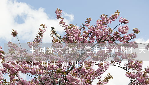 中國光大銀行信用卡逾期4天 中國光大銀行信用卡逾期4天怎么樣