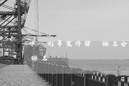中國刑事案件律師排名(全國最好的刑事律師排名)