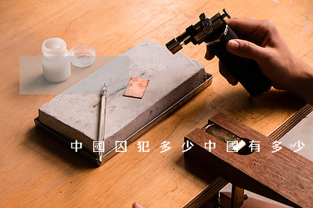 中國囚犯多少(中國有多少囚犯2020)