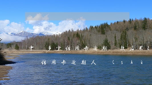中國多少信用卡逾期還款后果(2021年中國信用卡逾期人數(shù))