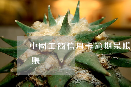 中國工商信用卡逾期呆賬(信用卡逾期成為呆賬)