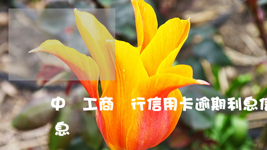 中國工商銀行信用卡逾期利息(信用卡 逾期利息)