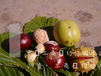 中國工商銀行信用卡逾期訴前調(diào)查-工商銀行信用卡 起訴