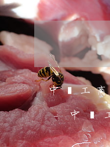 中國工商銀行協商還款需要發(fā)郵件-中國工商銀行協商還款需要發(fā)郵件嗎