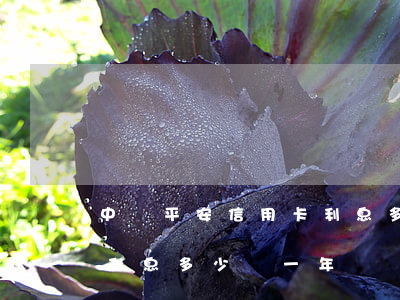 中國平安信用卡利息多少錢(中國平安信用卡利息多少錢一年)
