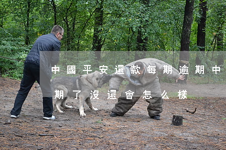 中國平安還款每期逾期(中國平安普惠貸款逾期了沒還會怎么樣)