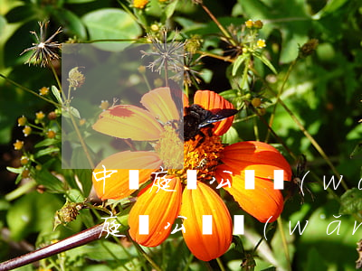 中國庭審公開網(wǎng)我的世界(中國庭審公開網(wǎng)我的世界)
