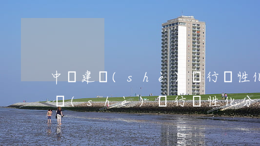 中國建設(shè)銀行個性化分期(中國建設(shè)銀行個性化分期是什么)