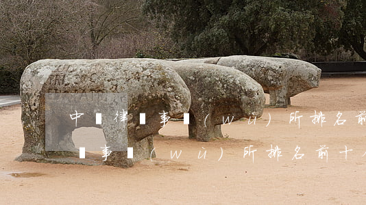 中國律師事務(wù)所排名前十位(中國律師事務(wù)所排名前十位)