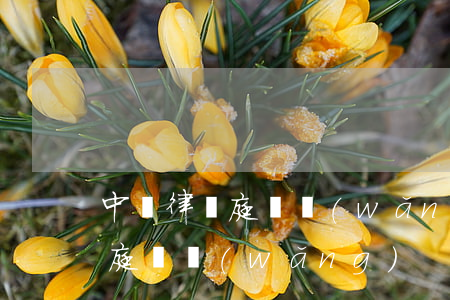 中國律師庭審網(wǎng)(中國法律公開庭審網(wǎng))