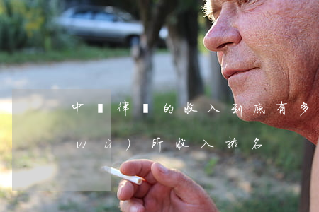 中國律師的收入到底有多少(中國律師事務(wù)所收入排名)