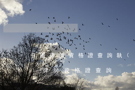 中國律師資格證查詢(執(zhí)業(yè)律師資格證查詢)