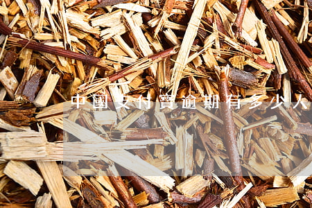 中國支付寶逾期有多少人
