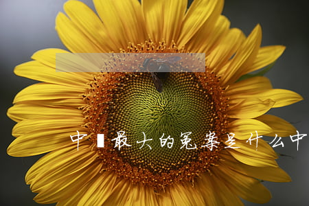 中國最大的冤案是什么(中國著名冤案)