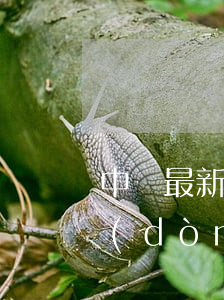 中國最新勞動(dòng)法(中國最新勞動(dòng)法規(guī)定)