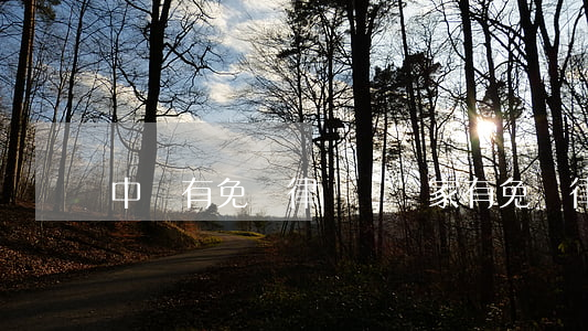 中國有免費律師嗎(國家有免費律師嗎)