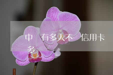 中國有多人不還信用卡嗎(還不上信用卡的人多嗎)