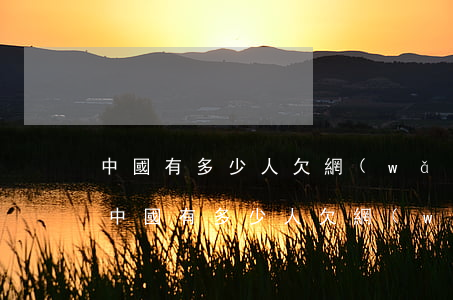 中國有多少人欠網(wǎng)貸還不起(全中國有多少人欠網(wǎng)貸還不起)