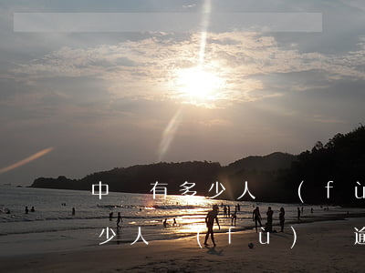 中國有多少人負(fù)債過日子（中國有多少人負(fù)債逾期坐牢的案例）