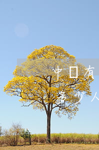 中國有多少人逾期網(wǎng)貸(中國有多少人逾期網(wǎng)貸和信用卡)
