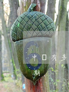 中國有多少人逾期貸款(全國有多少人貸款逾期)