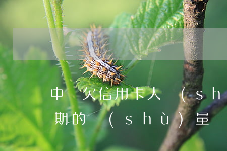 中國欠信用卡人數(shù)（全國信用卡逾期的數(shù)量）
