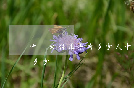 中國欠信用卡有多少人(中國欠信用卡的人有多少)