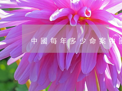 中國每年多少命案(中國的命案破案率是多少)