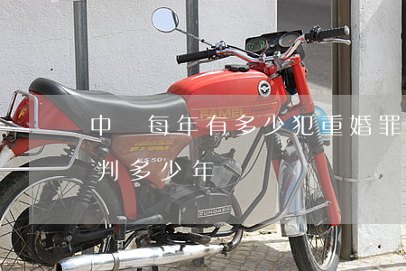 中國每年有多少犯重婚罪的人(在中國重婚罪判多少年)