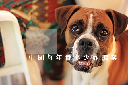 中國每年都多少詐騙案