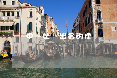 中國比較出名的律師