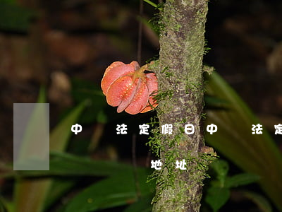 中國法定假日(中國法定節(jié)假日日歷訂閱地址)