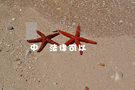中國法律可以測謊嗎(測謊儀有法律效力嗎)