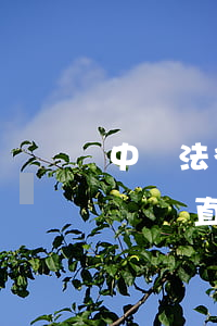中國法律庭審直播網(wǎng)(中國庭審視頻直播網(wǎng))