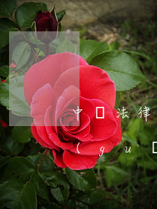 中國法律法規(guī)大全(中國法律法規(guī)大全書籍在線聽課)