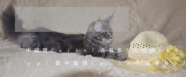 中國現(xiàn)在有多少人欠網(wǎng)貸(中國現(xiàn)在有多少人欠網(wǎng)貸不還)