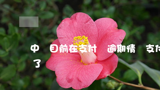 中國目前在支付寶逾期情況 支付寶逾期很久了