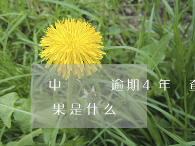 中國簽證逾期4年檢查什么 中國簽證逾期后果是什么