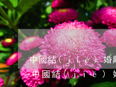 中國結(jié)婚離婚現(xiàn)狀(中國結(jié)婚離婚現(xiàn)狀)