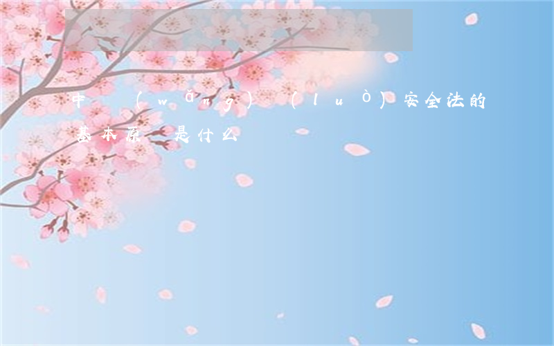 中國網(wǎng)絡(luò)安全法的基本原則是什么