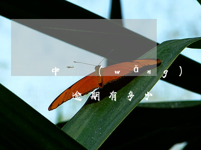 中國網(wǎng)貸有多少人逾期（全國借貸逾期有多少）