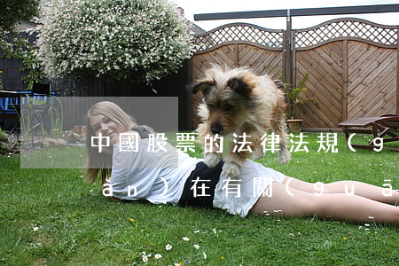 中國股票的法律法規(guī)(現(xiàn)在有關(guān)于中國股市相關(guān)的法律條例一共有哪些,分別是什么)