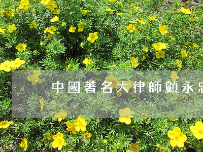 中國著名大律師顧永忠(顧永忠 律師)