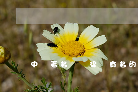 中國著名辯護律師(有名的刑事律師辯護)