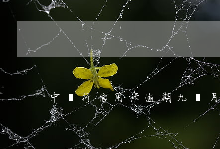 中國行信用卡逾期九個月