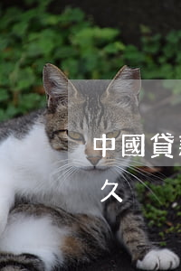 中國貸款能逾期多少天(貸款最長可以逾期多久)