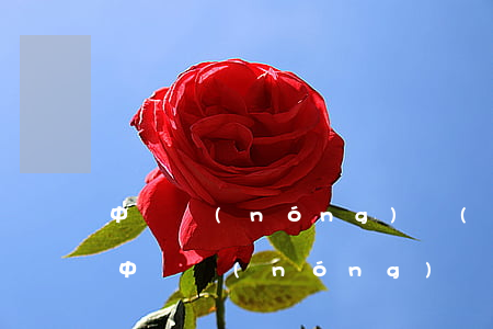 中國農(nóng)業(yè)信用卡利息(中國農(nóng)業(yè)信用卡利息是多少)