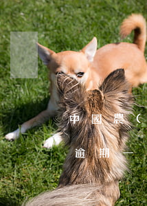 中國農(nóng)業(yè)銀行信用卡逾期一年-農(nóng)商銀行信用卡逾期